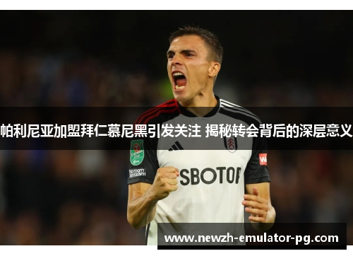 帕利尼亚加盟拜仁慕尼黑引发关注 揭秘转会背后的深层意义